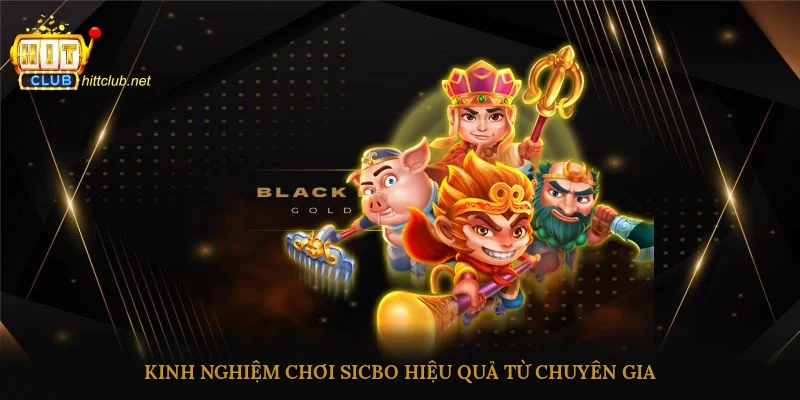 Kinh nghiệm chơi Sicbo hiệu quả từ chuyên gia