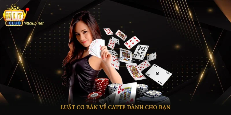 Luật cơ bản về Catte dành cho bạn
